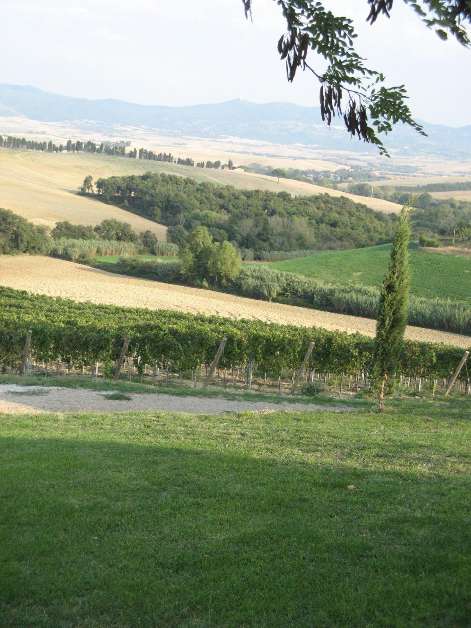 Agriturismo Cappellese Castelnuovo della Misericordia Exteriör bild