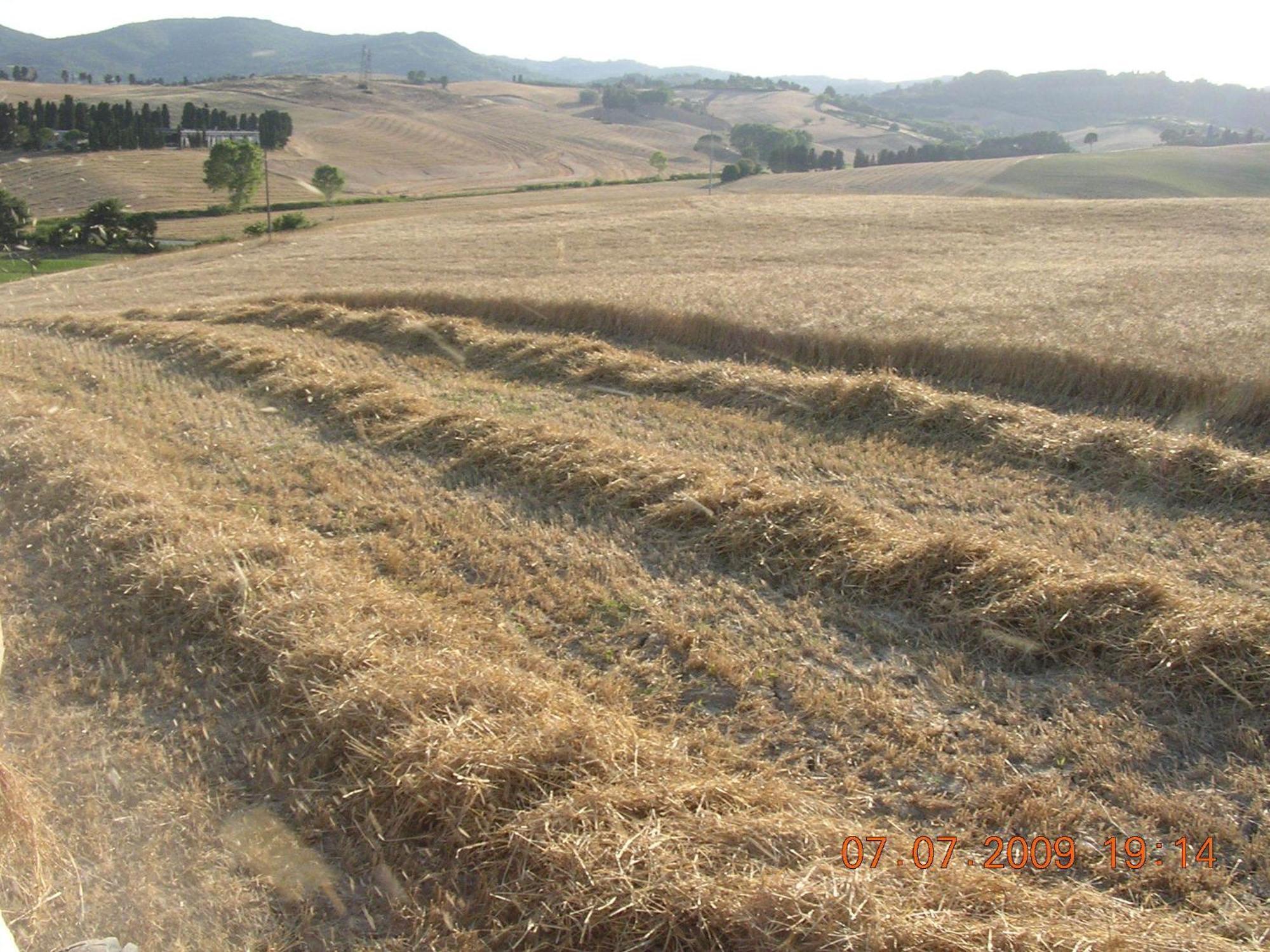 Agriturismo Cappellese Castelnuovo della Misericordia Exteriör bild